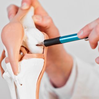 Regeneração da cartilagem e proteção articular